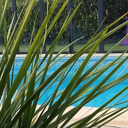 Spacieuse A Avec Piscine Privee Et Jardin